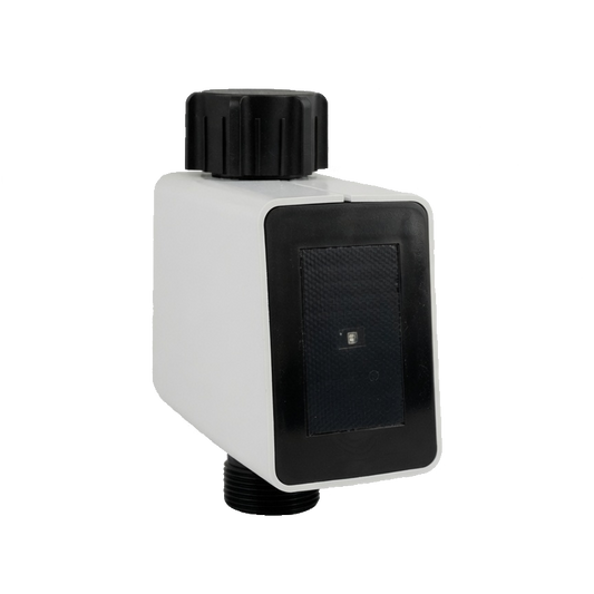 MIYO Ventil 1V-20 mit G3/4" Schraubanschluß